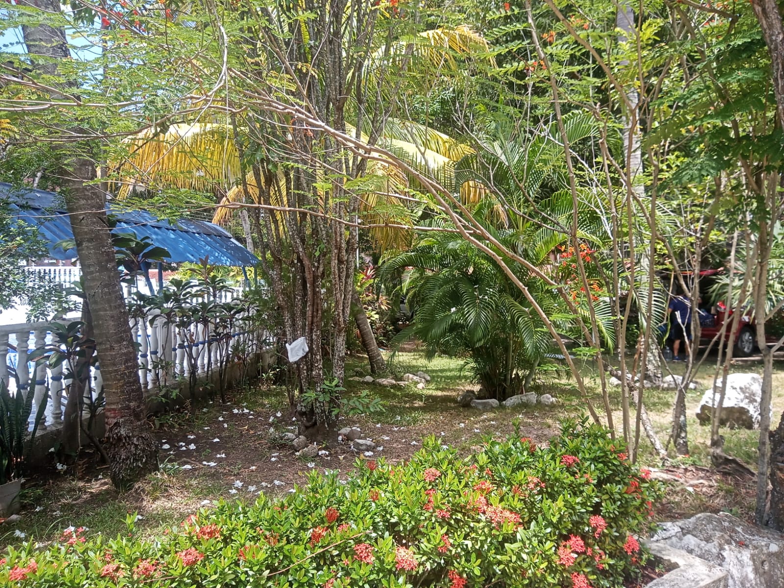 SE VENDE APARTAESTUDIO EN CONJUNTO Melgar Tolima - Imagen 8