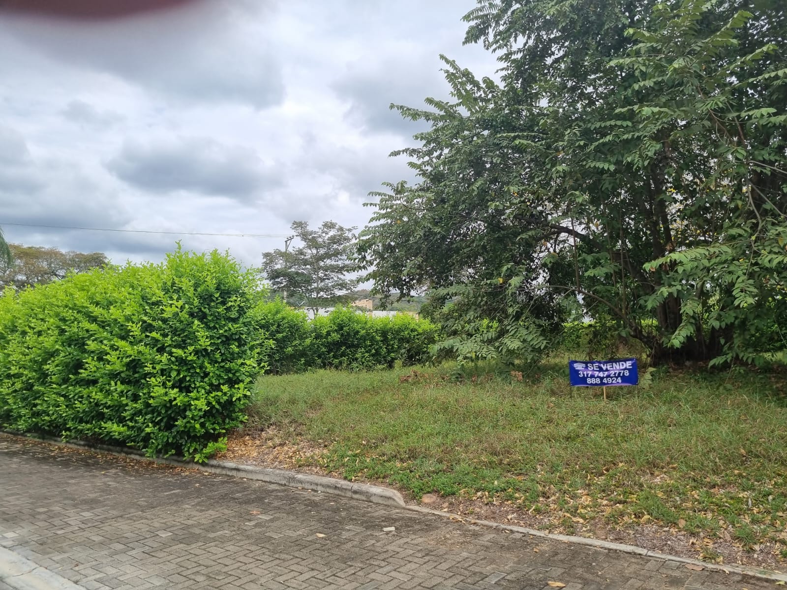 SE VENDE LOTE EN NILO CUNDINAMARCA - Imagen 6