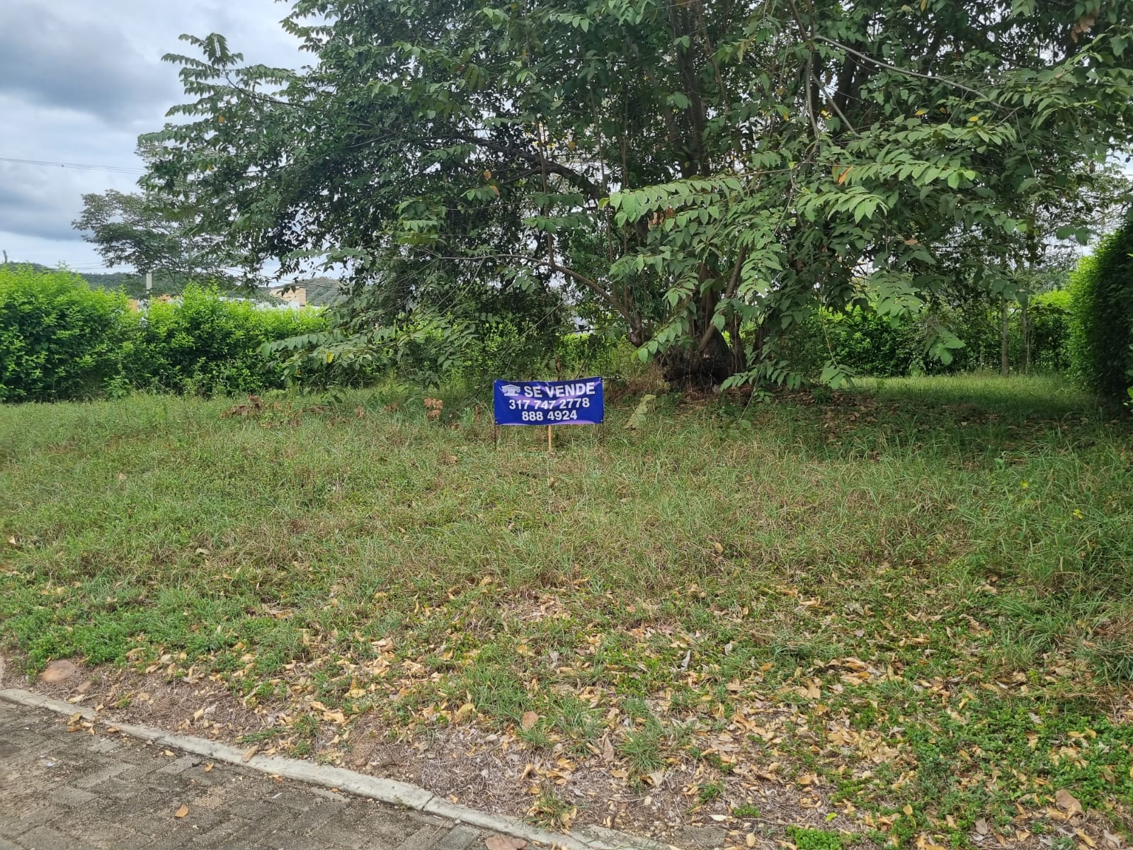 SE VENDE LOTE EN NILO CUNDINAMARCA - Imagen 8