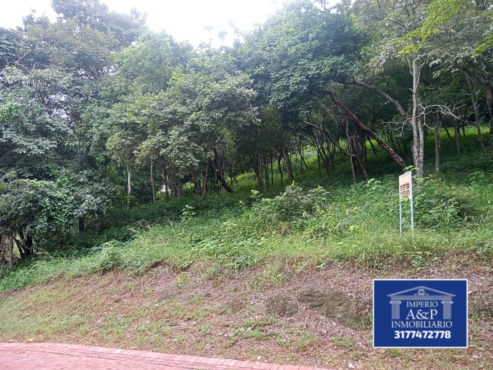 SE VENDE LOTE EN RICAURTE CUNDINAMARCA - Imagen 2