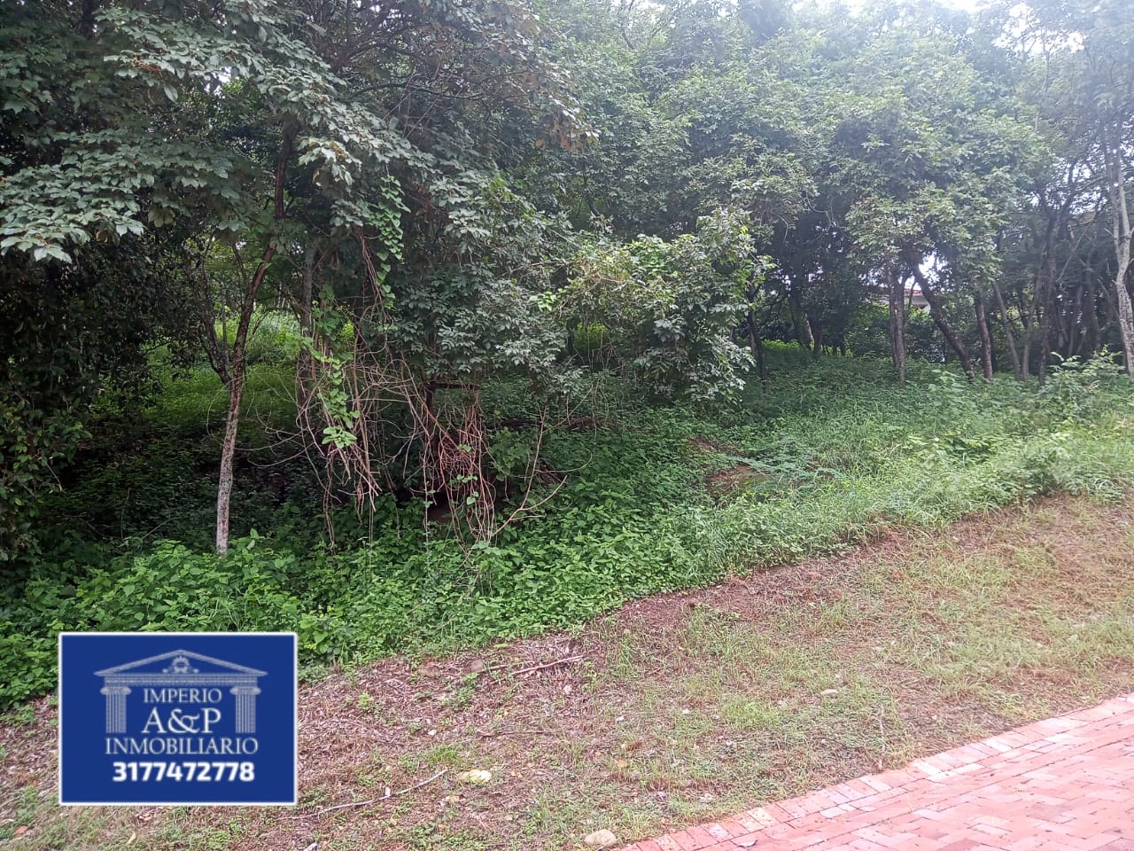 SE VENDE LOTE EN RICAURTE CUNDINAMARCA - Imagen 3