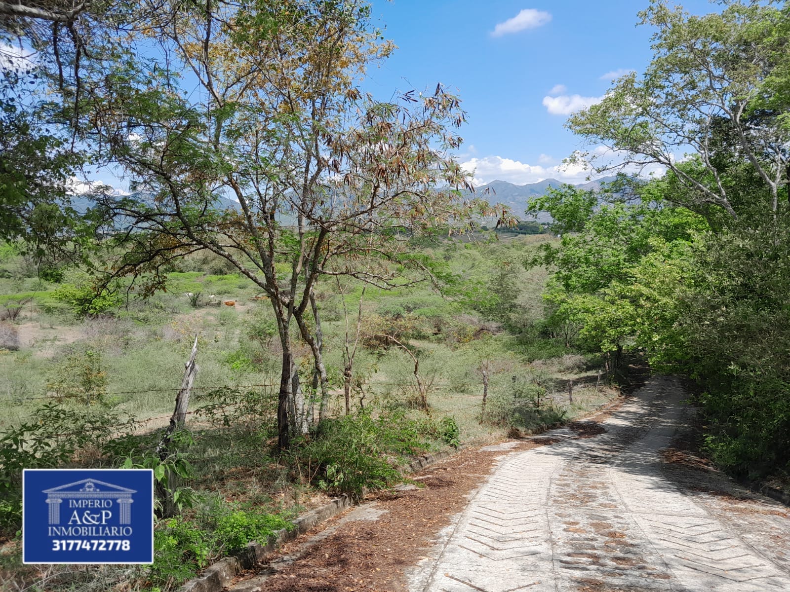 SE VENDE LOTE EN RICAURTE CUNDINAMARCA
