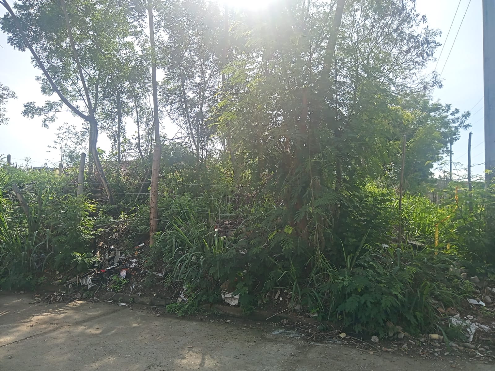 Vista 2