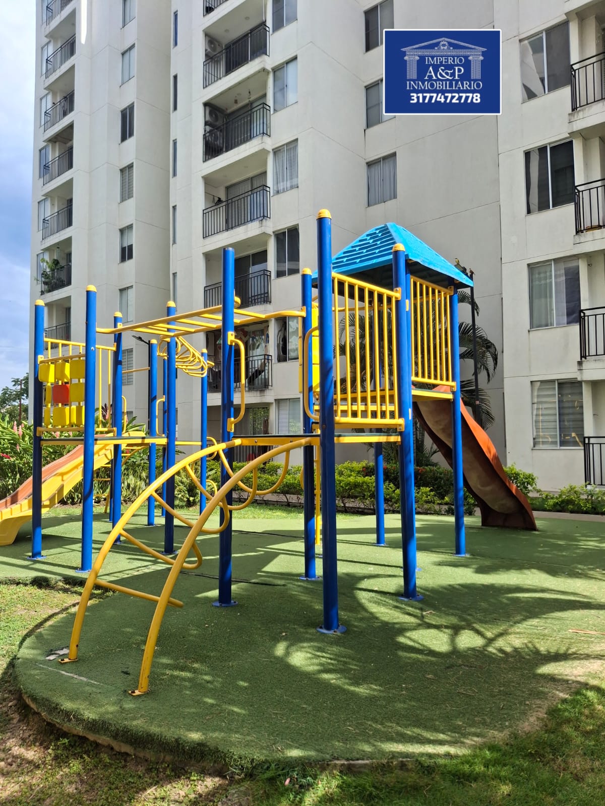 Vista 11